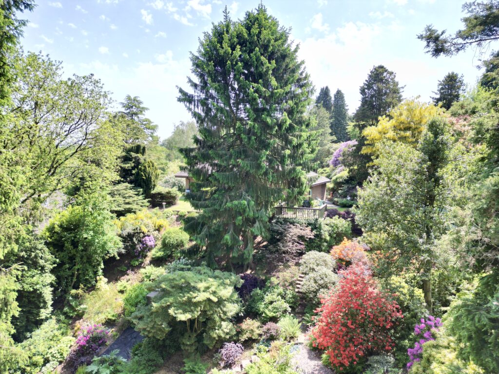 Park Wood Drive, Baldwins Gate, ST5