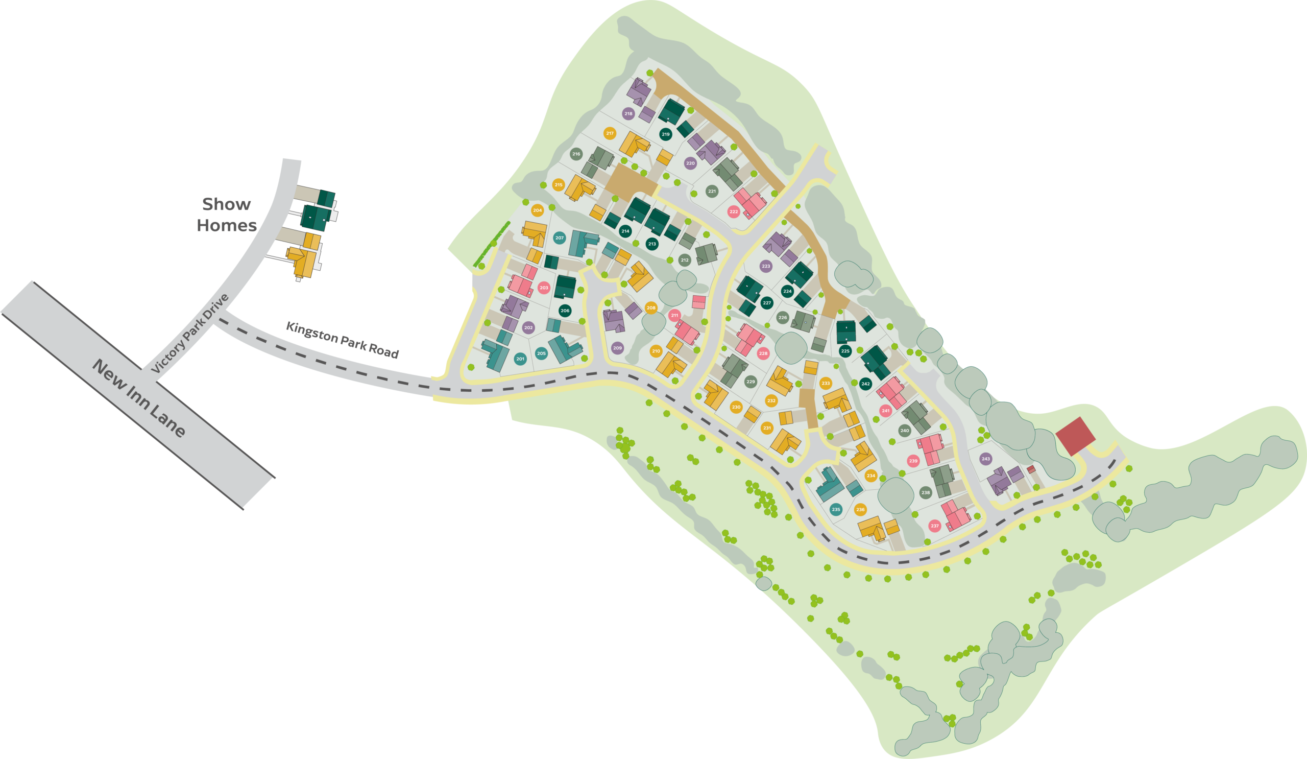 The Development 