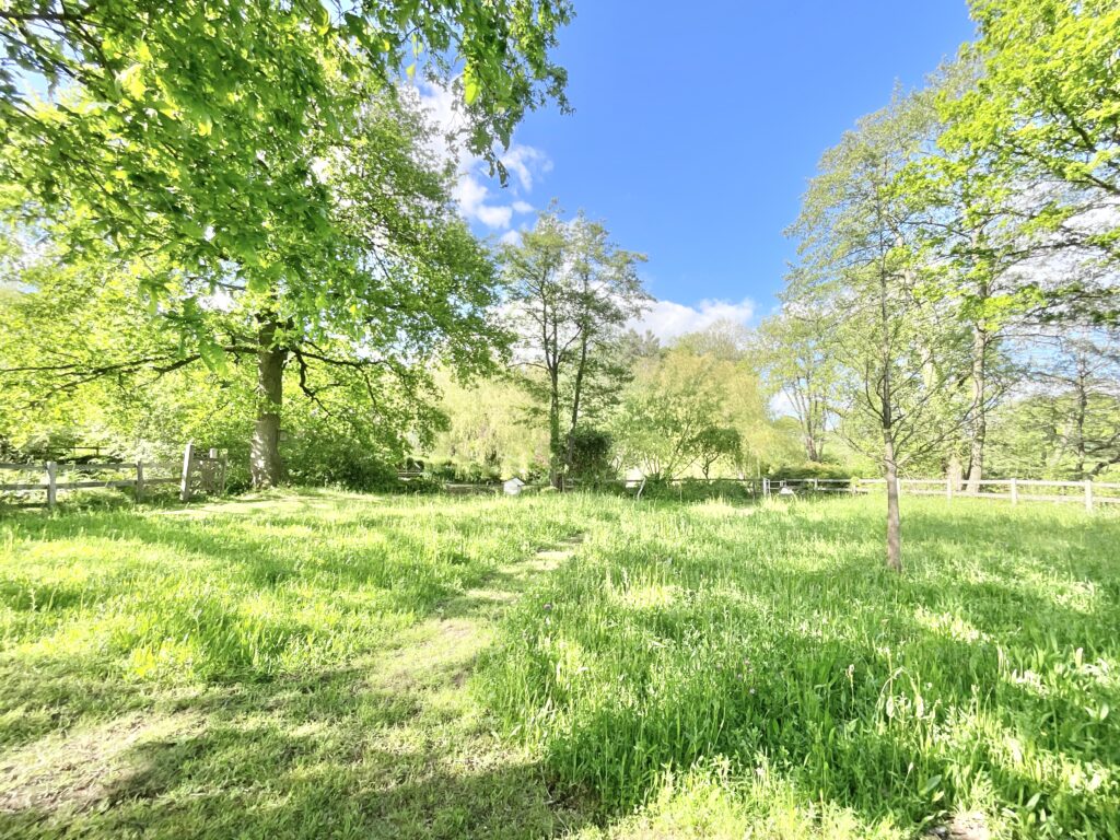 Lockley Wood, Market Drayton, TF9