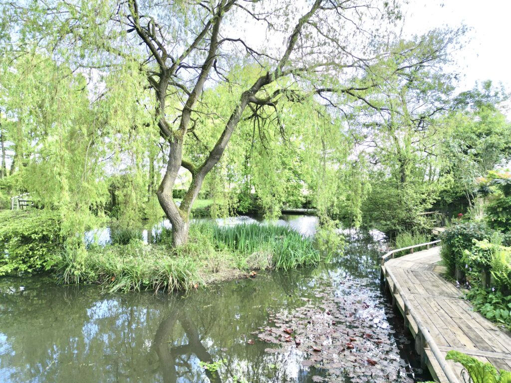 Lockley Wood, Market Drayton, TF9