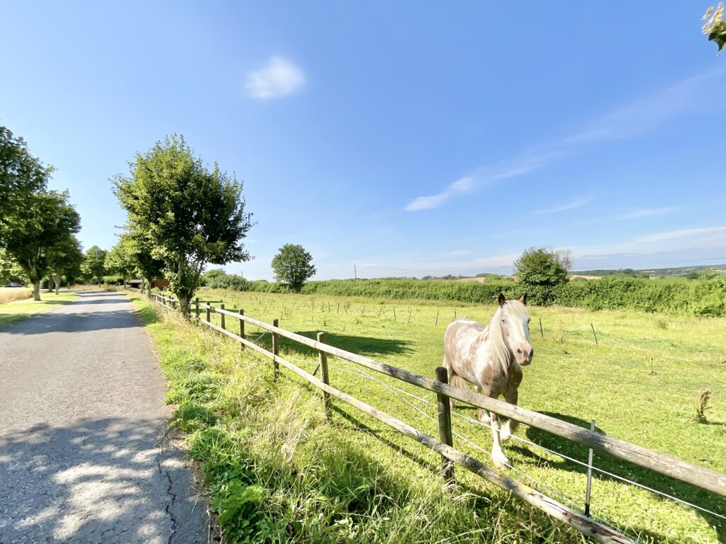 Walton Bank, Eccleshall, ST21