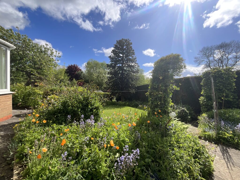 Ness Grove, Cheadle, ST10