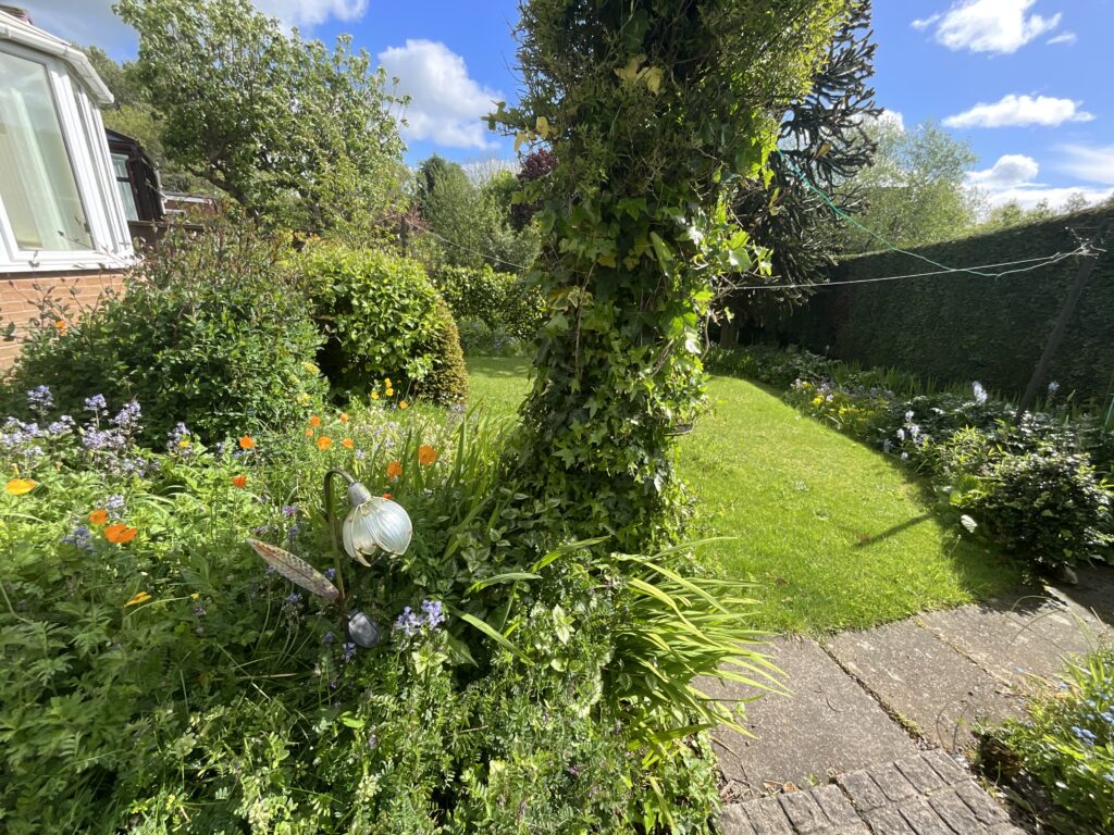 Ness Grove, Cheadle, ST10