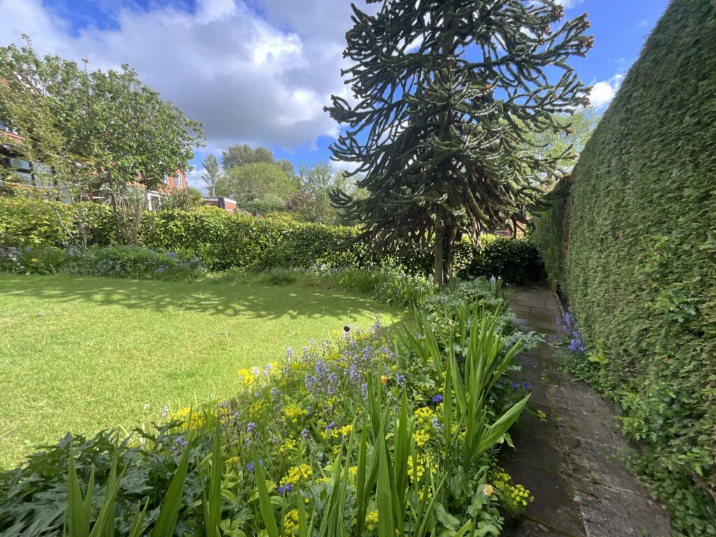 Ness Grove, Cheadle, ST10