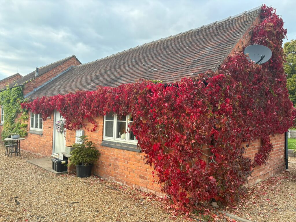 Grindley, Stafford, ST18