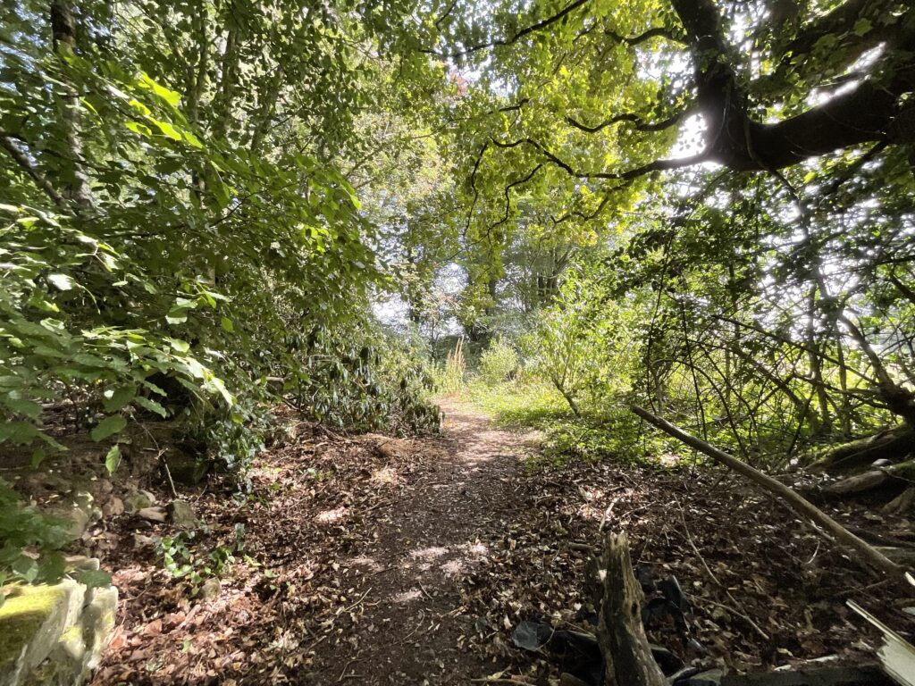 Nightingale Walk, Blythe Bridge, ST11