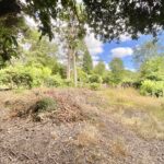 Pinewood Drive, Ashely Heath, TF9